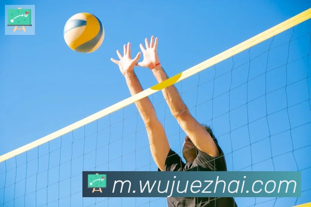 hth华体网页版登录入口平台生态图