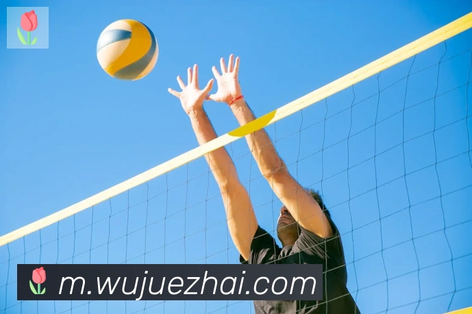 hth华体网页版登录入口品牌故事