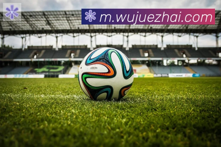 hth华体网页版登录入口荣誉